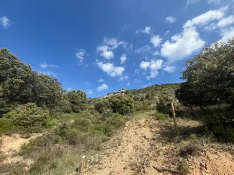 Finca rústica en Zona Alta de La Población