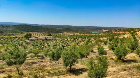 Finca rústica en Finca Residencial Cerca de Lleida
