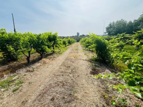 Casa en Cerca de Paseo Fluvial, Bodegas y  Paso de Peregrinos