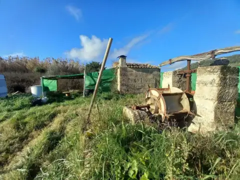 Finca rústica en A 2 Km. A Petra, Entre Petra y Manacor.