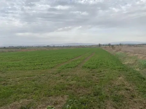Finca rústica en Partida Penal de Bellcaire