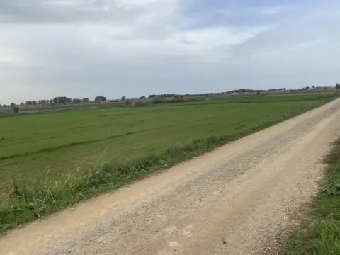 Finca rústica en Partida Penal de Bellcaire