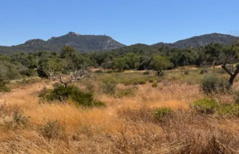 Finca rústica en Terreno Con Proyecto Básico Para Unifamiliar Aisalada.