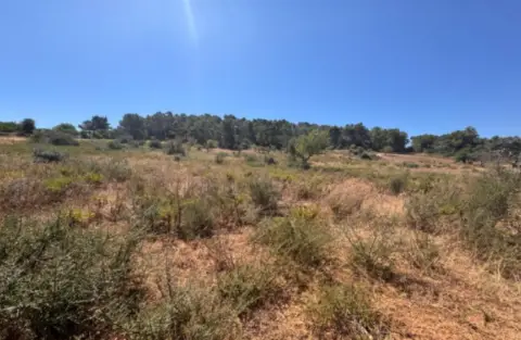 Finca rústica en Terreno Con Proyecto Básico Para Unifamiliar Aisalada.