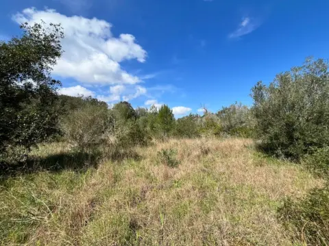 Finca rústica en Ubicado Entre Bodegas Xaloc y El Golf de Pollença