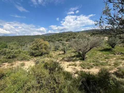 Finca rústica en Radiquero, Término de Alquezar
