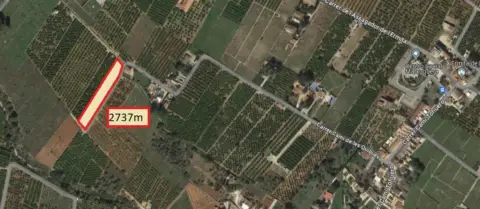 Rural Property in Terreno Agrario de 2737 Cerca Ermita Marxuquera