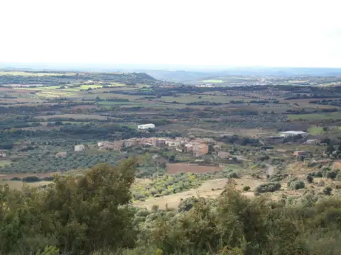 Finca rústica en Parcela Rústica de Secano A 100 Metros de La Población.
