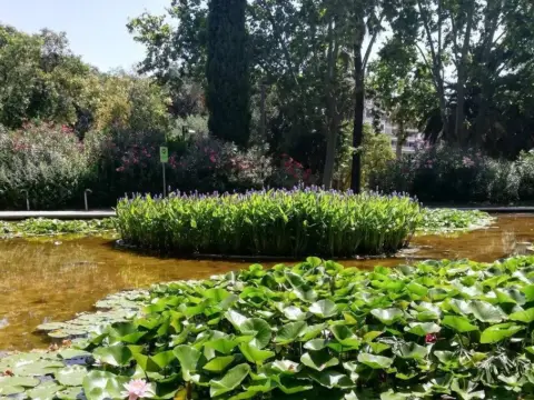 Piso en Al Lado de Turó Park