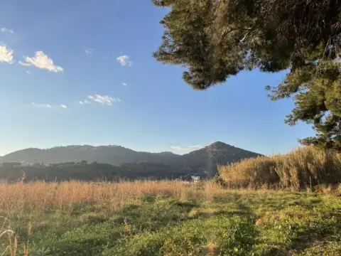 Finca rústica en Pineda de Mar - Can Cornet