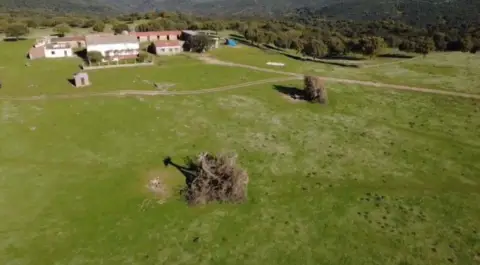 Finca rústica en Finca Dehesa de 325 Hectáreas en Estornino - Alcántara