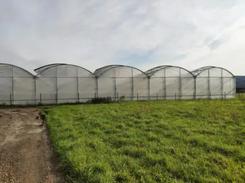 Finca rústica en Akarlanda Errepidea . Erandio