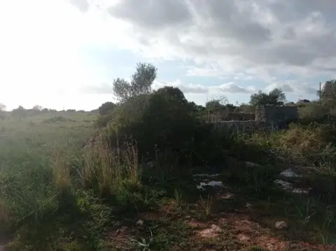 Finca rústica en Entre Santanyí y Cala Figuera A 50 M. de La Carretera.