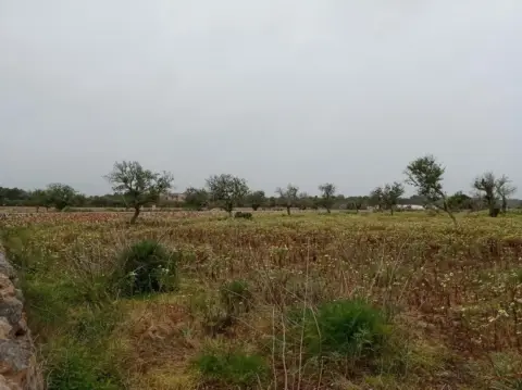 Finca rústica en Entre Es Llombards Dirección Faro Ses Salines J