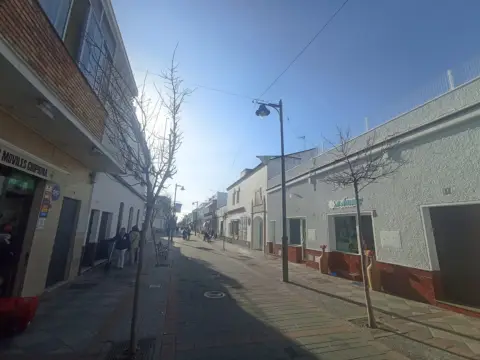 Chalet en calle C- Miguel de Cervantes