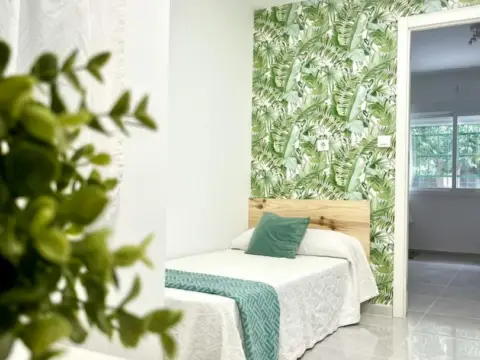 Habitación en Doctor Fedriani