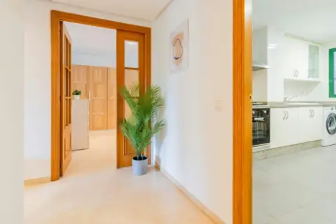 Habitación en Ciutat de les Arts i de les Ciències