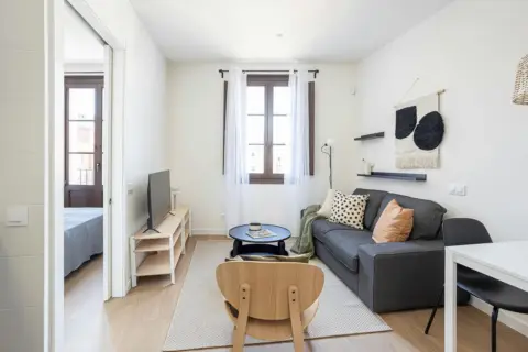 Apartment in Barcelona Capital