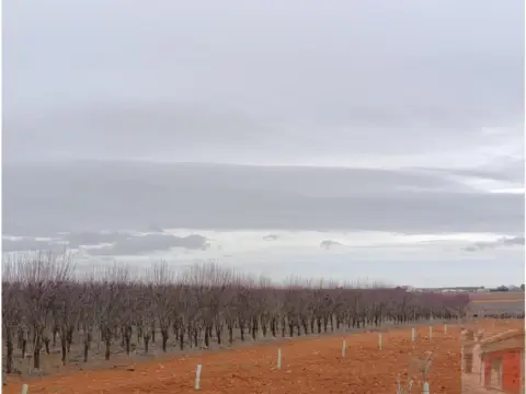 Finca rústica en Ctra. Minaya. Km 4