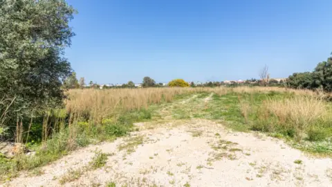 Terreno en La Pedrera-Vessanes