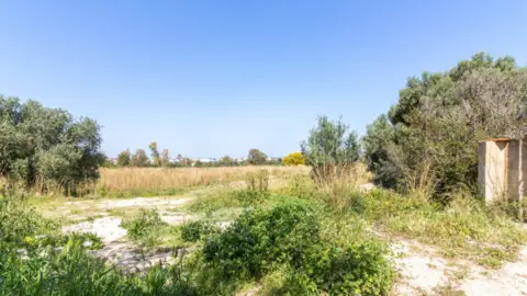 Terreno en La Pedrera-Vessanes