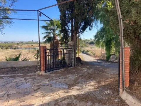 Casa en calle Camino Paraje los Llanos, 36, nº 1