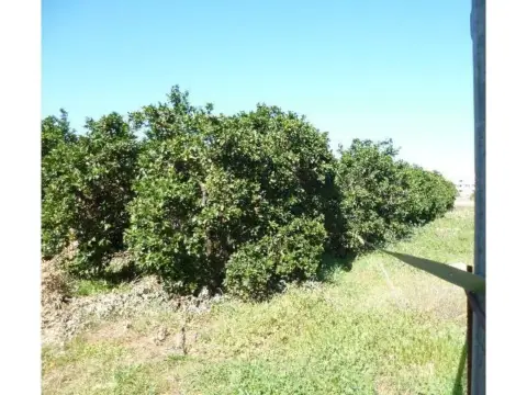 Terreno en Lm Hasta Km.3