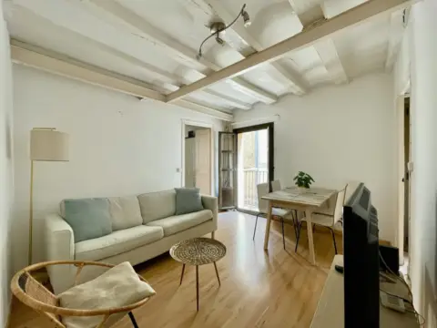 Apartment in Barcelona Capital