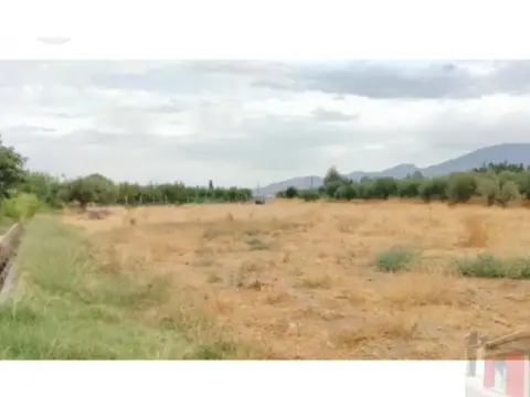 Finca rústica en Villarrobledo