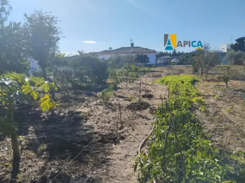 Chalet en Caulina-Tejarejo