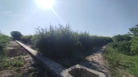 Terreno en calle >Partida Fogaria, nº >