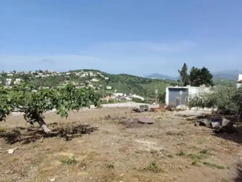 Terreno en calle Buenavista, nº >