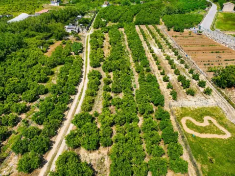 Terreno en Pego