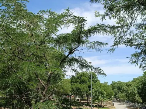 Habitación en Portazgo