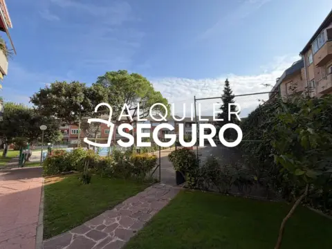 Fotografía 2