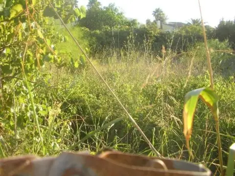 Terreno en Mon Santa Lucia