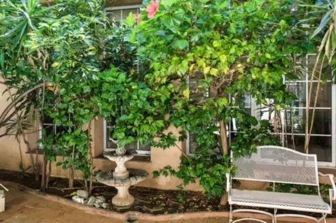 Casa unifamiliar en calle >Av. Las Palmeras, nº >