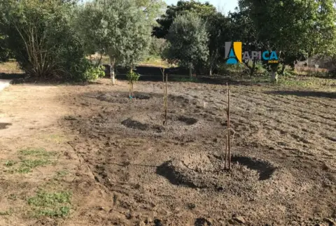 Chalet en Ribera de La Oliva