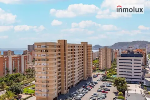 Piso en Avenida de la Condomina