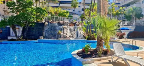 Piso – Arona