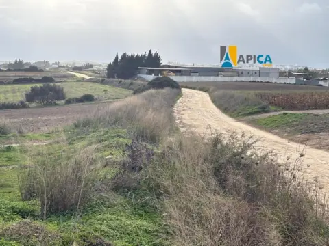 Terreno en Fontanar