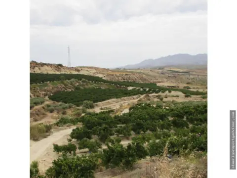 Finca rústica en Los Gallardos