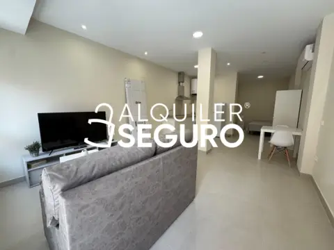 Estudio en Centro