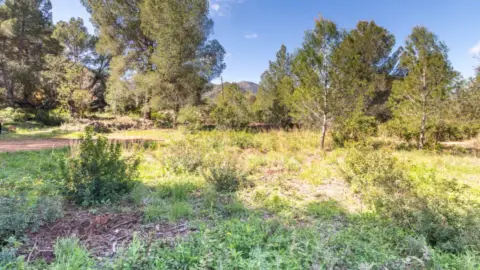 Terreno en Xaló