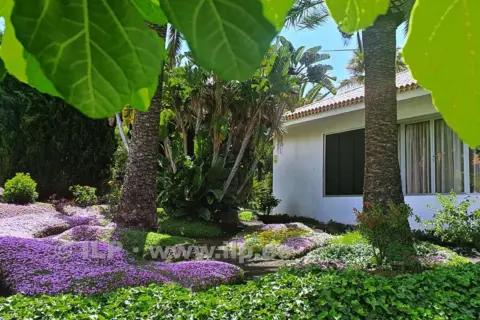 Casa en calle Bungalows Tajuya