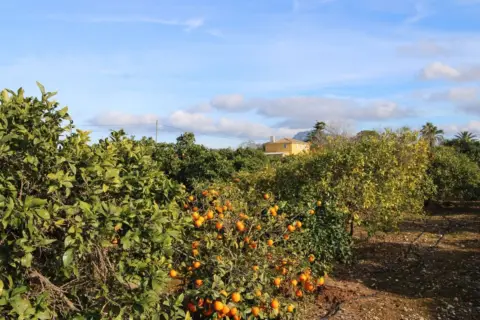 Chalet en Ondara