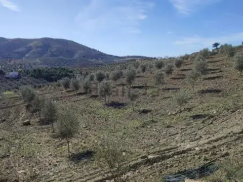 Terreno en calle Polígono 174 Parcela, nº 314