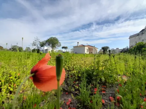 Finca rústica en Laguna