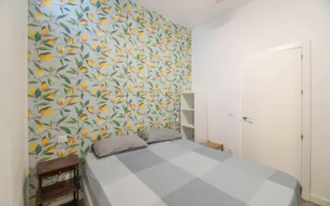 Piso en Embajadores-Lavapiés