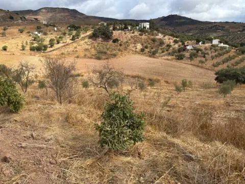 Terreno en calle >Diseminado Poligono 1, nº >